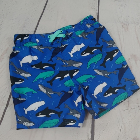 Cat & Jack Other - Cat and Jack 3T swim trunks